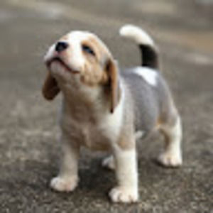 Meet your Posher, Izabella